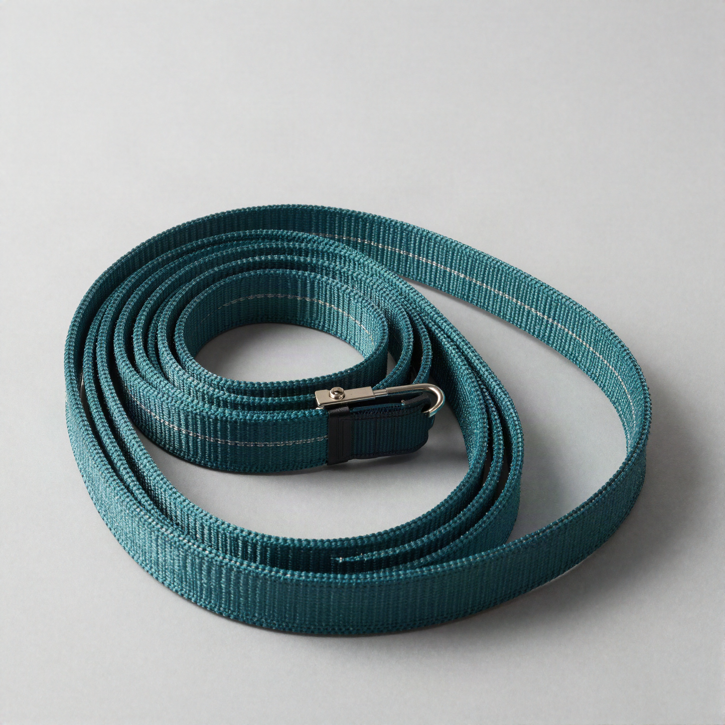 Reflective Nylon Leash