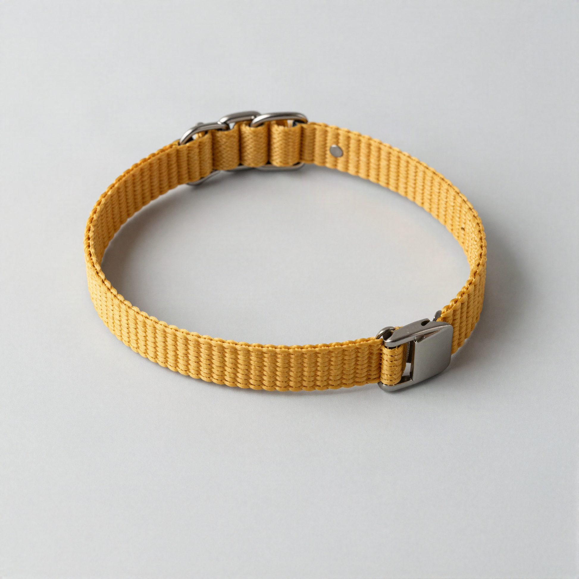 Adjustable Martingale Collar