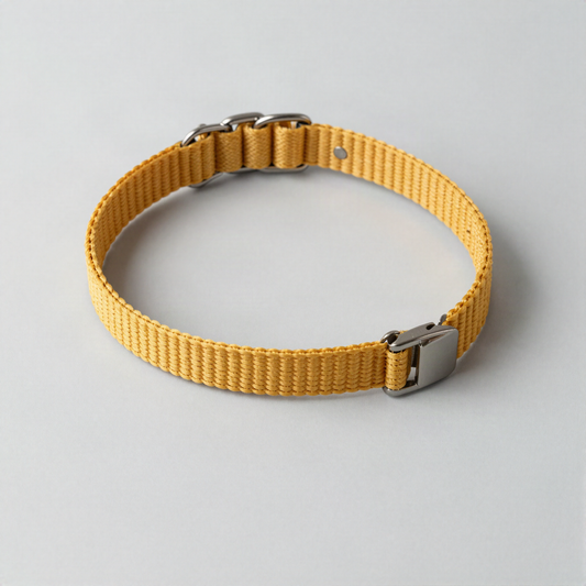 Adjustable Martingale Collar